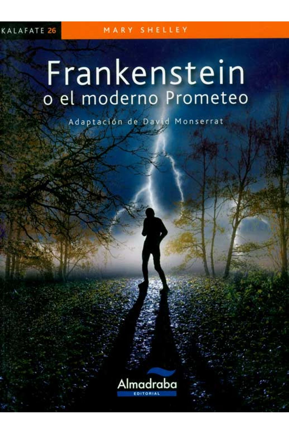 FRANKENSTEIN O EL MODERNO PROMETEO