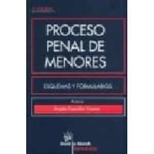 Portada del libro PROCESO PENAL MENORES Autor COQUILLAT VICENTE, ANGELA